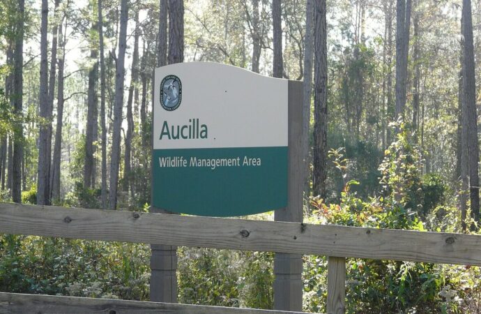 Aucilla, FL - Florida Coast Impact Resistant Windows and Doors